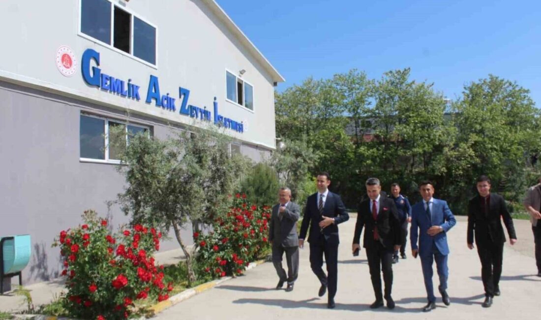 Adalet Bakanlığı heyeti, Gemlik Ceza İnfaz Kurumu’nu ziyaret ederek üretim