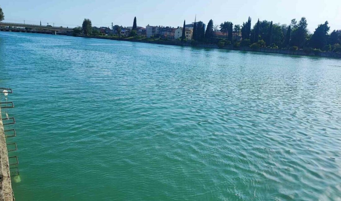 Adana’nın Yüreğir ilçesine bağlı Seyhan Mahallesi’nde meydana gelen olayda, arkadaşlarıyla