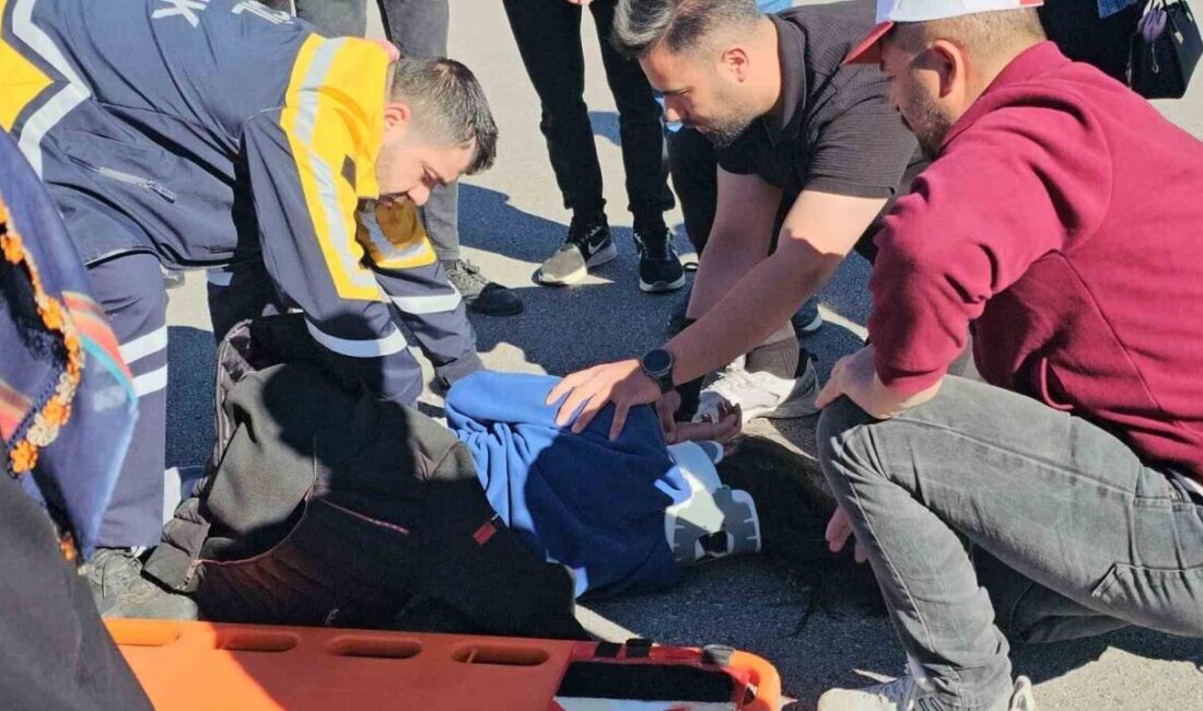 Adilcevaz ilçesinde bayram ziyaretinden dönen insanları taşıyan bir hafif ticari