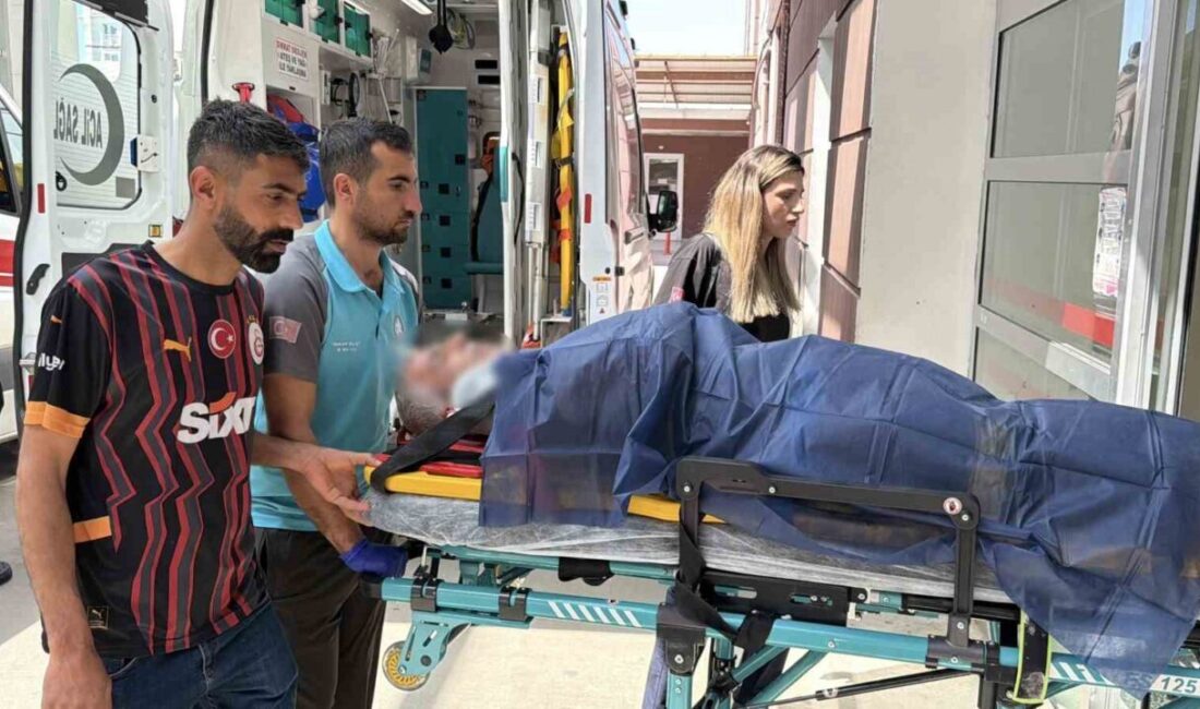 Adıyaman’da Kurban Bayramı’nın ilk gününde kurban kesmek isteyen birçok acemi