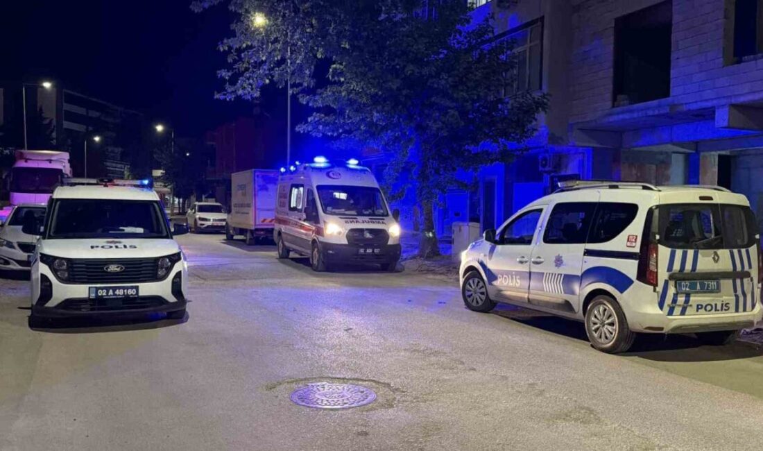 Adıyaman ilinde bir birey intihar ederek hayatına son verdi. Alınan