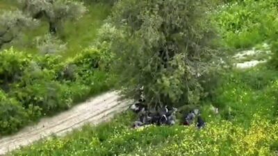 Hatay’da jandarma tarafından gerçekleştirilen operasyonlarda, kaçak göçmenlerin ağaç altında saklanarak