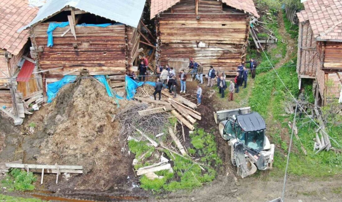 Kastamonu’nun Taşköprü ilçesinde, Bozarmut köyünde üç katlı bir ahırda meydana
