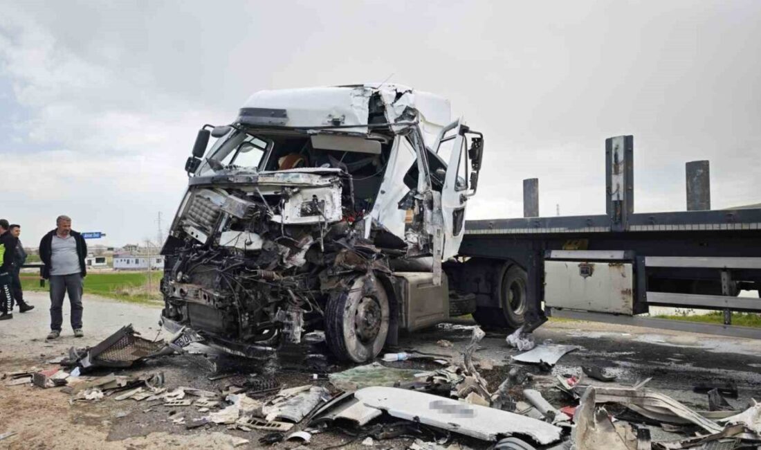 Ahlat ilçesinde bulunan Ahlat-Ovakışla Beldesi yolu üzerinde meydana gelen trafik