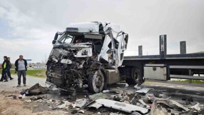 Ahlat ilçesinde bulunan Ahlat-Ovakışla Beldesi yolu üzerinde meydana gelen trafik