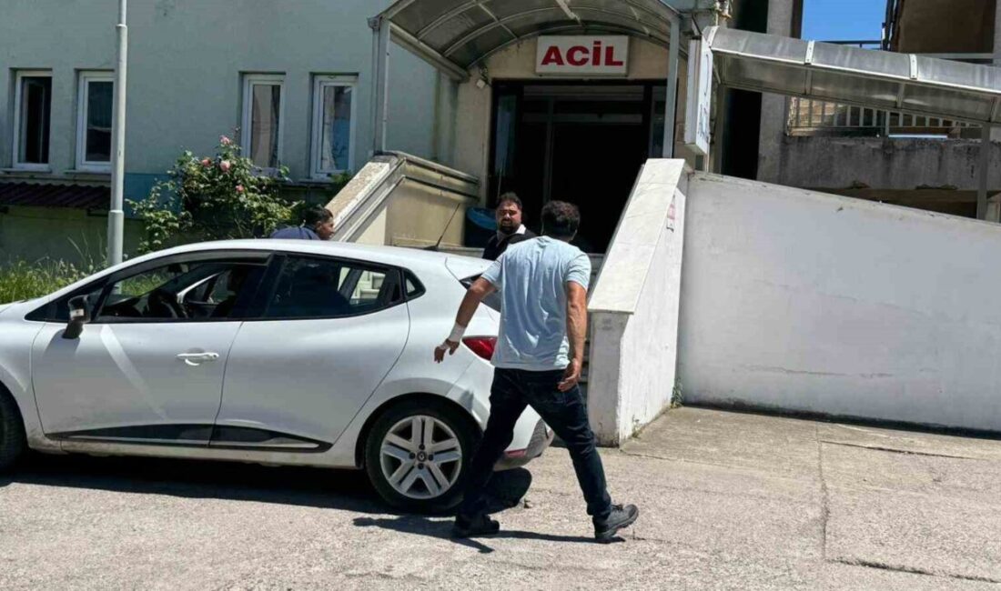 Zonguldak’ın Alaplı ilçesinde Kurban Bayramı’nın ilk gününde kurban kesimi sırasında