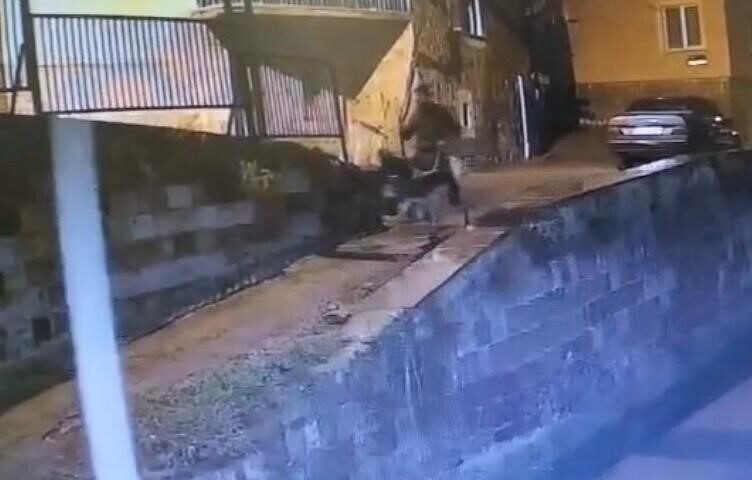 Kayseri’de yaşanan olayda, forklift çalarak bir kuyumcunun dükkanına giren ve