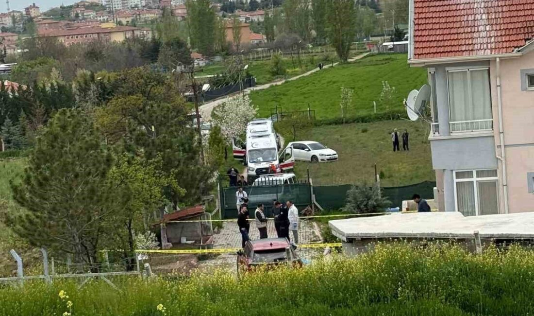 Çubuk ilçesinde bir kişi, ağabeyi tarafından öldürüldüğü iddia edilen bir