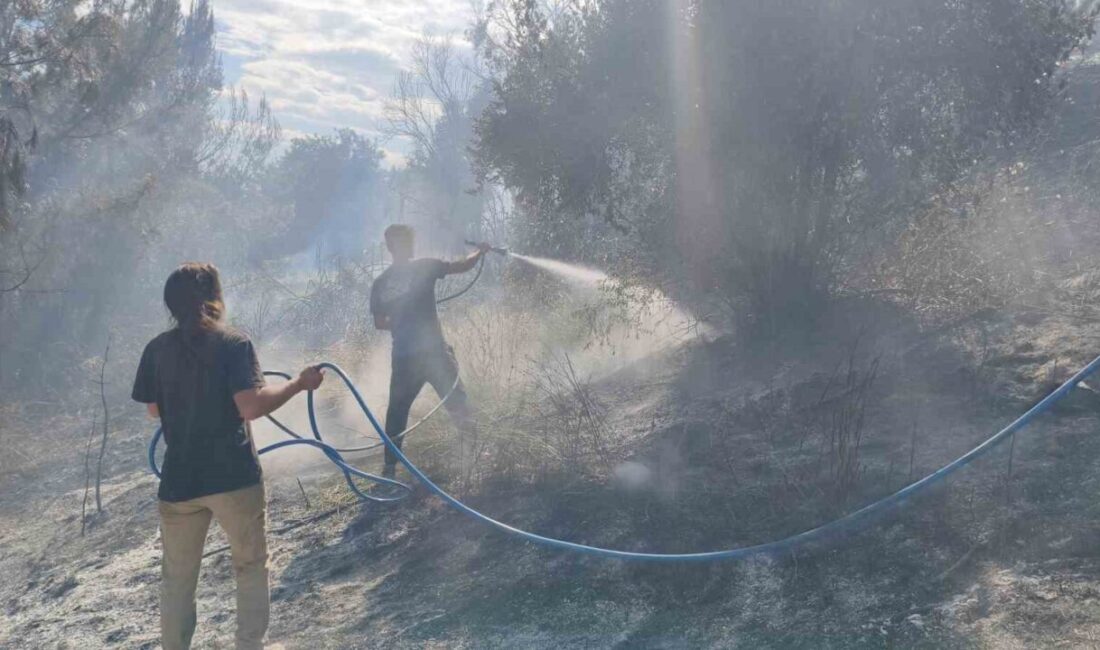 Antalya’nın Aksu ilçesinde ormanlık alanda meydana gelen yangın, itfaiye ekiplerinin