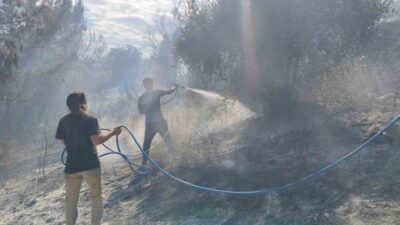Antalya’nın Aksu ilçesinde ormanlık alanda meydana gelen yangın, itfaiye ekiplerinin