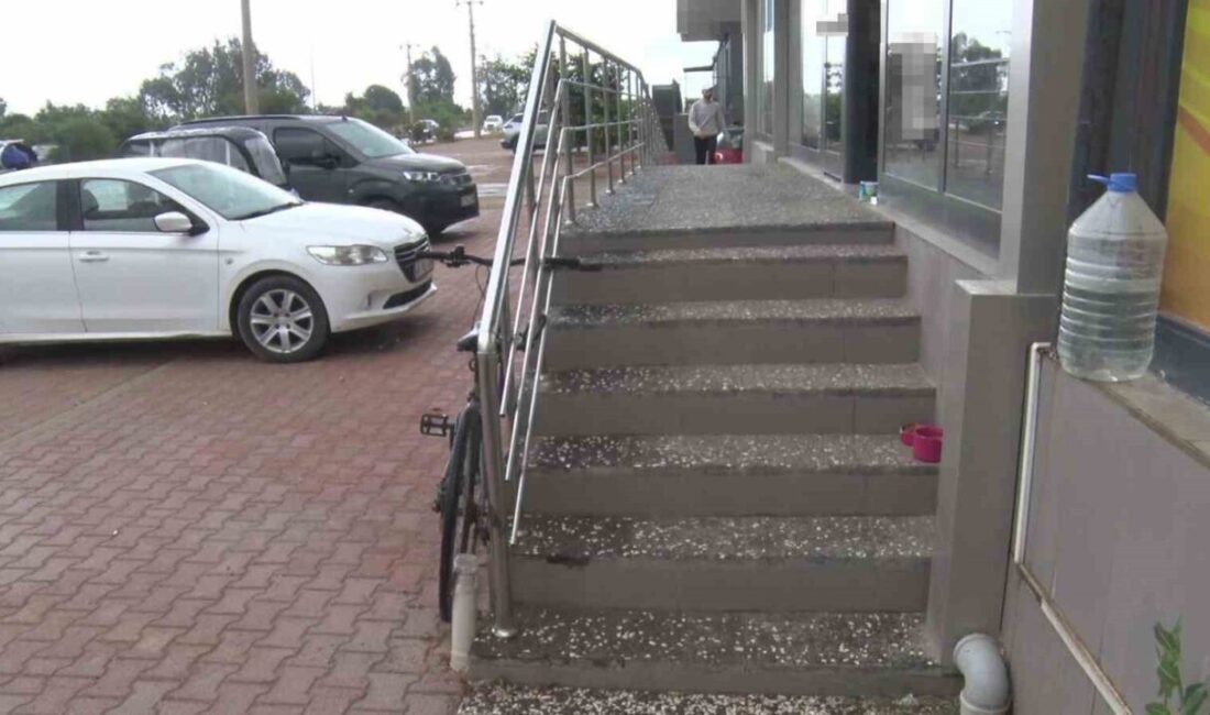 Antalya’da yaşanan olayda, mahalle esnafının beslediği kediyi ezen ve ardından