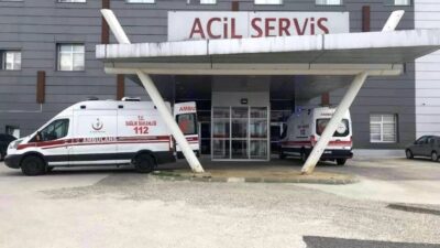 Tekirdağ’ın Muratlı ilçesinde arıların saldırısına maruz kalan yaşlı çift hastaneye