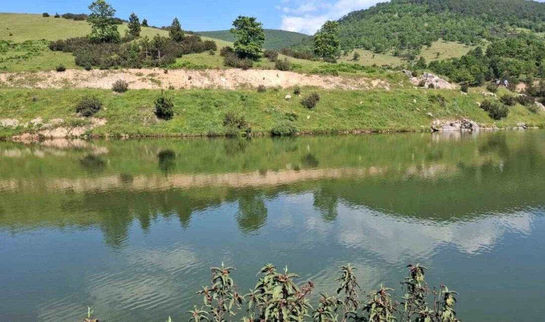 Bursa’da, arkadaşlarıyla birlikte sulama göletine giren bir çocuğun cansız bedenine