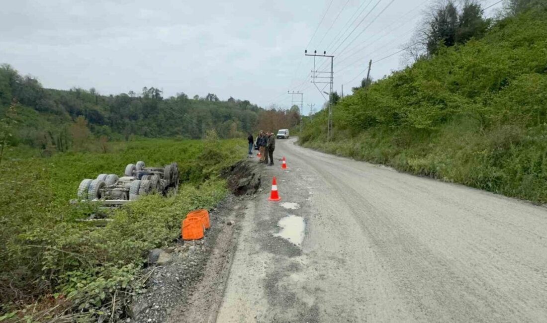 Zonguldak’ın Karadeniz Ereğli ilçesine bağlı Merve köyünde Kavakdere Mahallesi yolunda