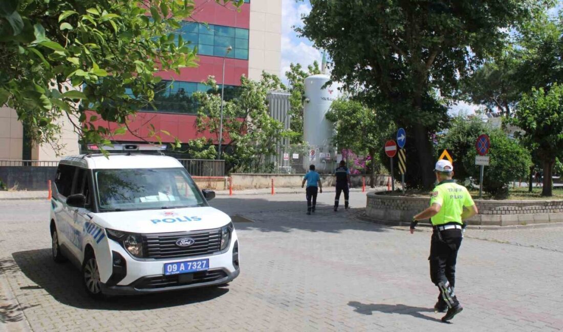 Aydın’ın Efeler ilçesinde yer alan Efeler Mahallesi 2258 Sokak’ta meydana