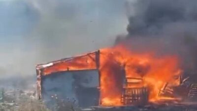 Ayvalık ilçesindeki bir ahırda çıkan yangın, ekiplerin hızlı müdahalesi sayesinde