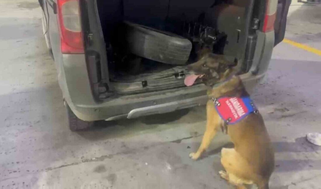 Tunceli’de yapılan operasyonda, uyuşturucu köpeği ‘Ayar’ın aracın bagaj ve kaputunda