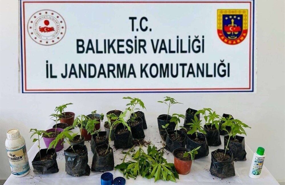 Balıkesir İl Jandarma Komutanlığı ekipleri tarafından gerçekleştirilen uyuşturucu operasyonlarında 10