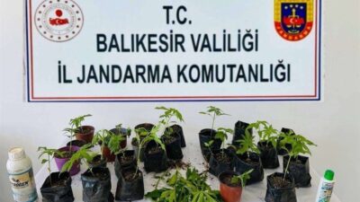 Balıkesir İl Jandarma Komutanlığı ekipleri tarafından gerçekleştirilen uyuşturucu operasyonlarında 10