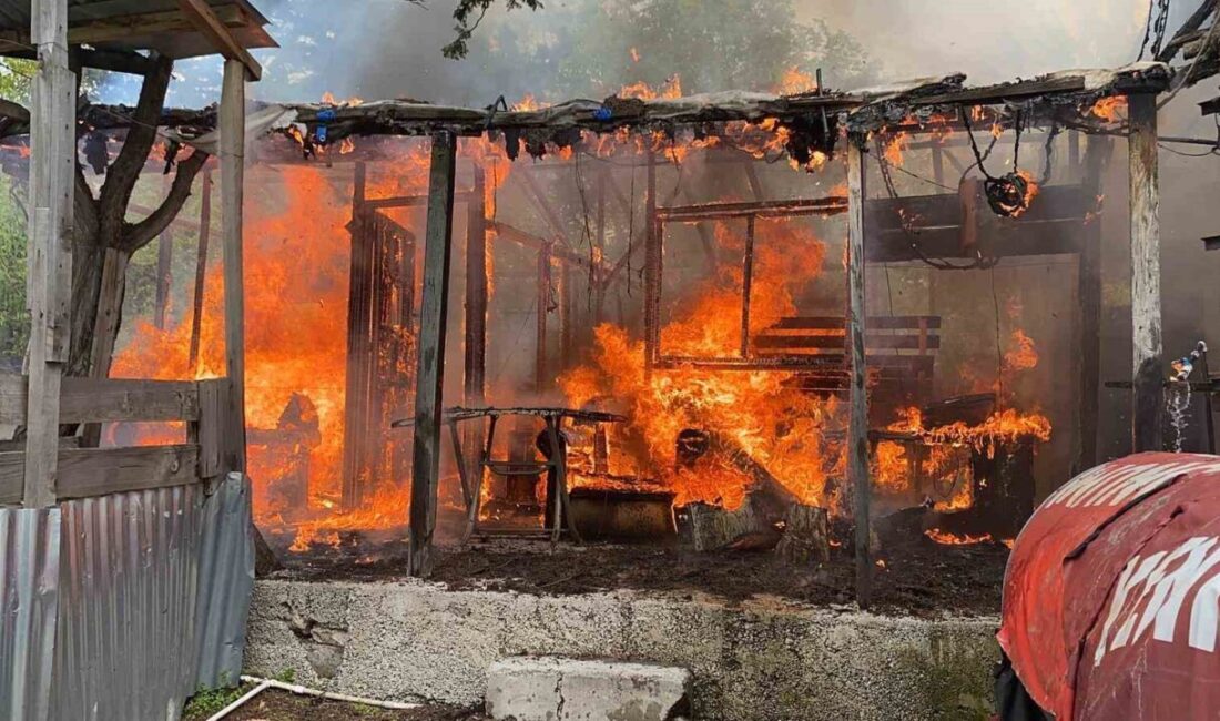 Mersin’in Erdemli ilçesindeki bir yayla bölgesinde bulunan baraka ev, çıkan