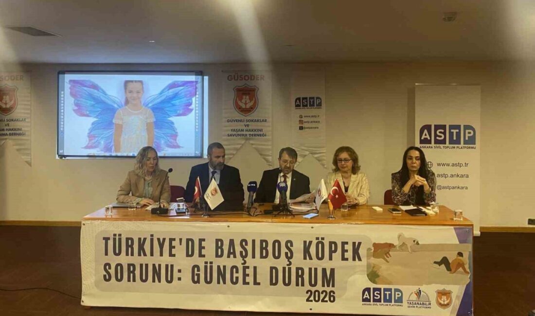 Ankara’da, platformlar tarafından düzenlenen bir panelde “Türkiye’de başıboş köpek sorunu”