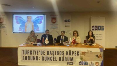 Ankara’da, platformlar tarafından düzenlenen bir panelde “Türkiye’de başıboş köpek sorunu”