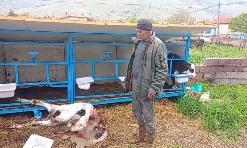Konya’nın Karapınar ilçesinde, Yeşilyurt Mahallesinde bulunan Ahtrı’a ait 4 aylık