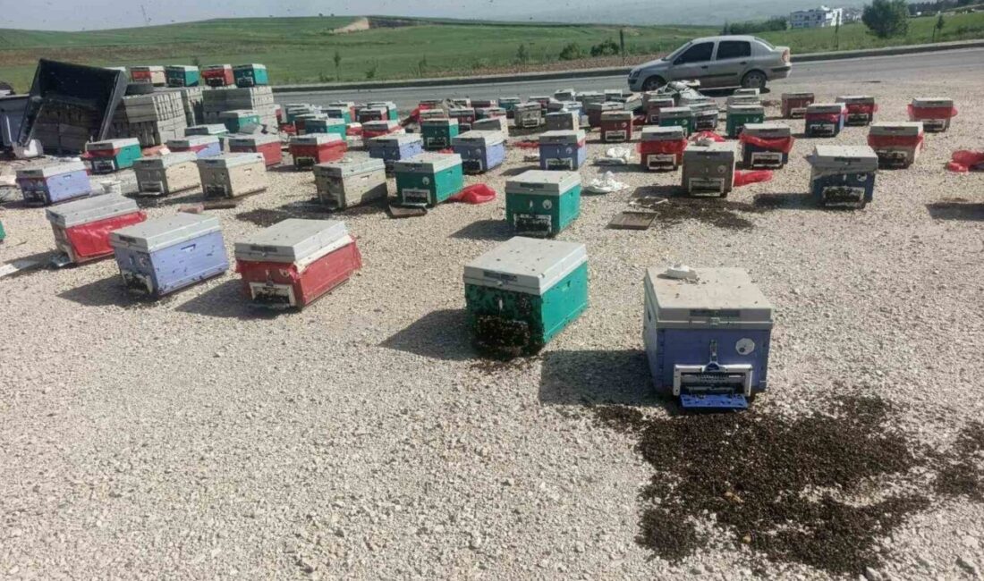 Beşiri ilçesinde meydana gelen olayda, aracın arızalanması sonucu binlerce arının