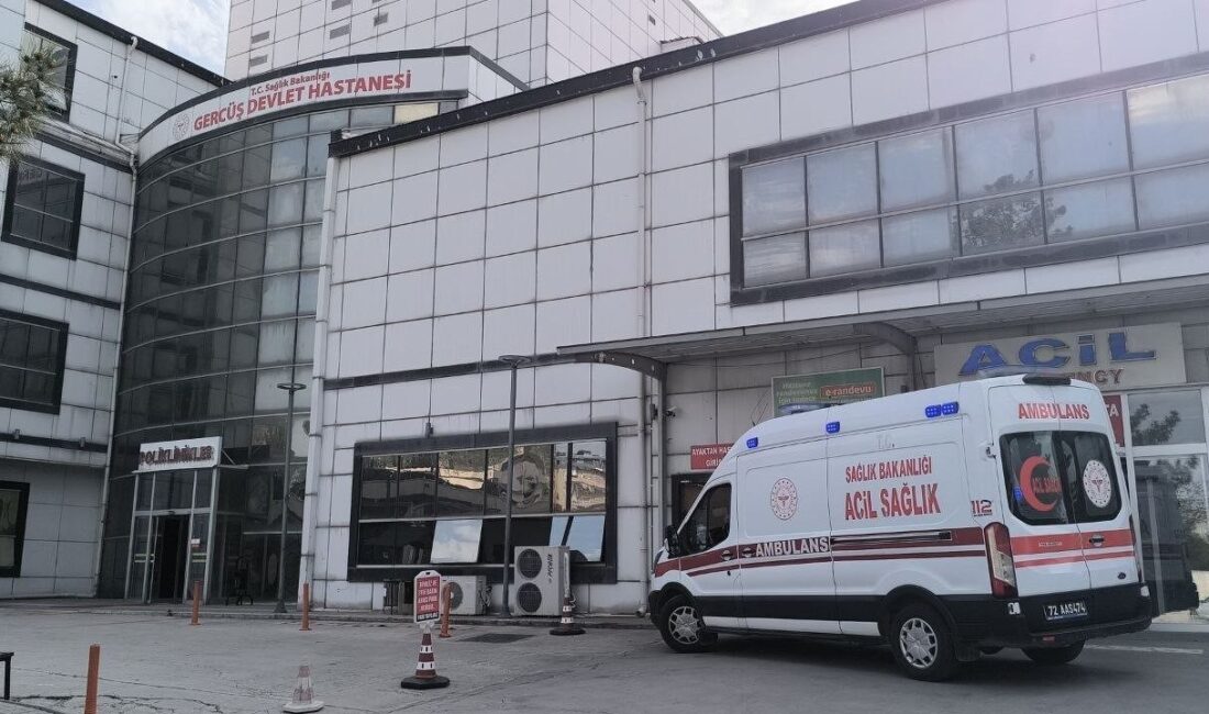 Batman’ın Gercüş ilçesine bağlı Aydınca köyünde yaşayan 82 yaşındaki N.S.,