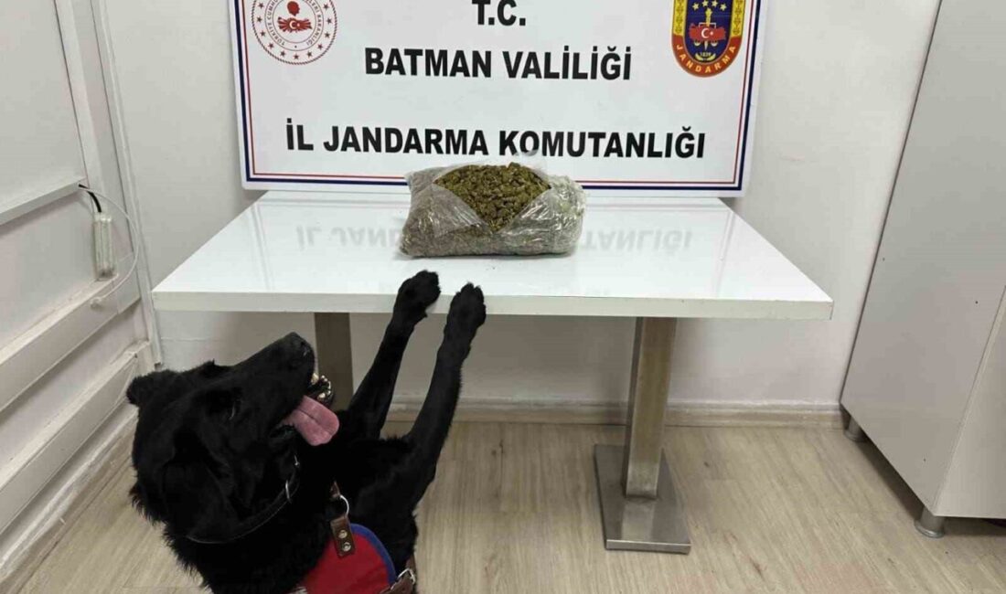 Batman’da gerçekleştirilen yol kontrol uygulamasında, 1 kilo 452 gram skunk