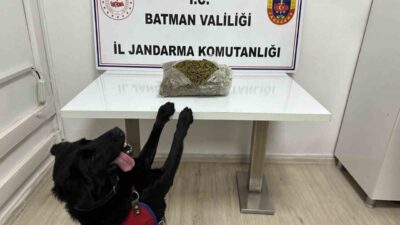 Batman’da gerçekleştirilen yol kontrol uygulamasında, 1 kilo 452 gram skunk