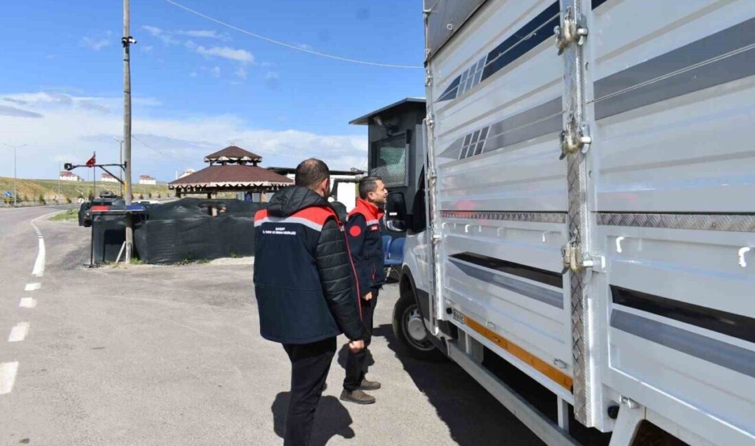 Bayburt’ta Kurban Bayramı’na kısa bir süre kala canlı hayvan sevkiyatları
