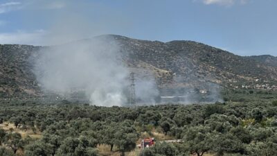 Demircilik Mahallesi’nde yer alan bir zeytinlik alanında yangın çıktı. İhbar