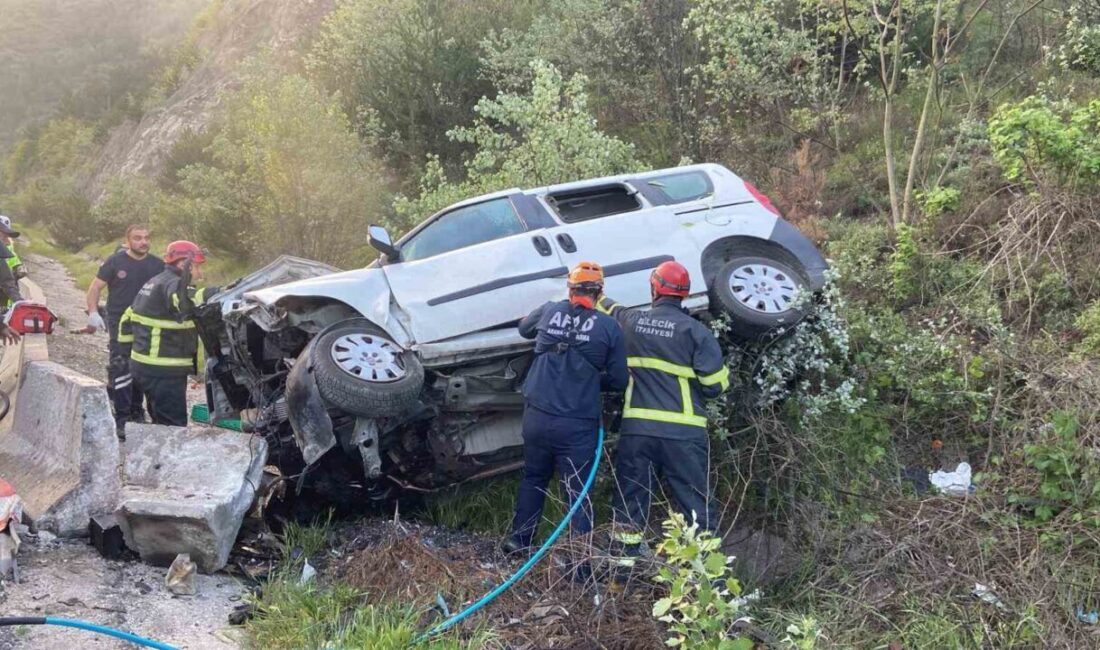 Bilecik’te meydana gelen trafik kazasında bir kamyonet şarampole uçtu ve