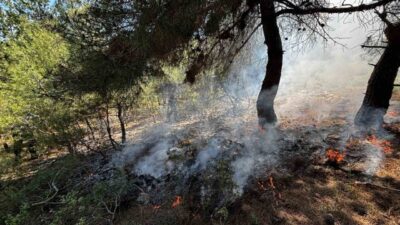 Bilecik’in Osmaneli ilçesinde ormanlık alanda yangın çıktı. Osmaneli ilçesine bağlı