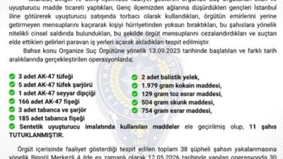 Bingöl merkezli bir suç örgütüne yönelik yapılan operasyonlarda 30 kişi