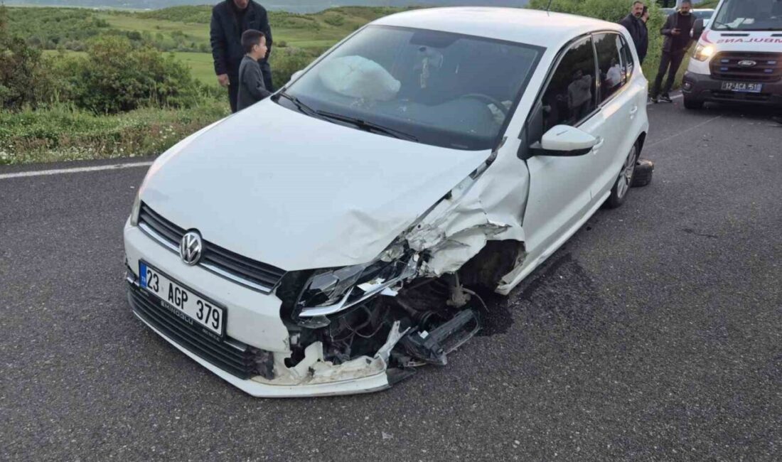 Bingöl’de Ormanardı Köyü yakınlarında meydana gelen trafik kazasında, 23 AGP