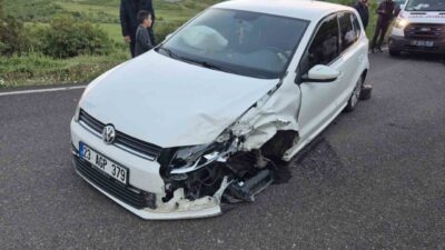 Bingöl’de Ormanardı Köyü yakınlarında meydana gelen trafik kazasında, 23 AGP