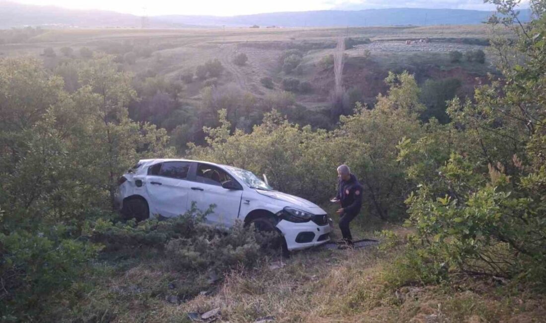 Bingöl’de meydana gelen trafik kazasında 5 kişi yaralandı. Kaza, Genç