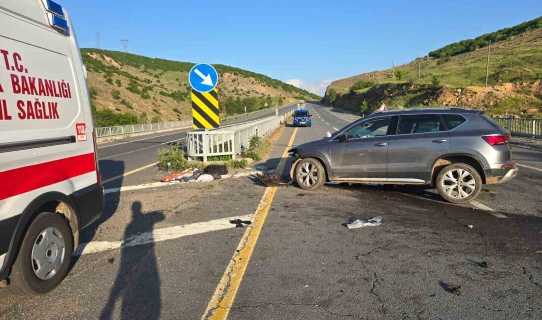 Bingöl’de meydana gelen bir kazada, otomobilin köprü korkuluklarına çarpması sonucunda