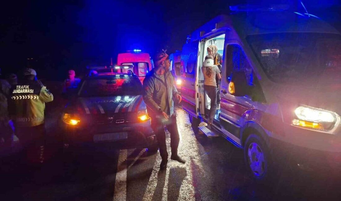 Bingöl, Bingöl-Erzurum karayolunda meydana gelen trafik kazasında 8 kişi yaralandı.
