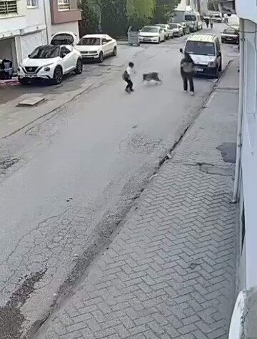 Tepebaşı ilçesine bağlı Şirintepe Mahallesi Seki Sokak’ta meydana gelen bir
