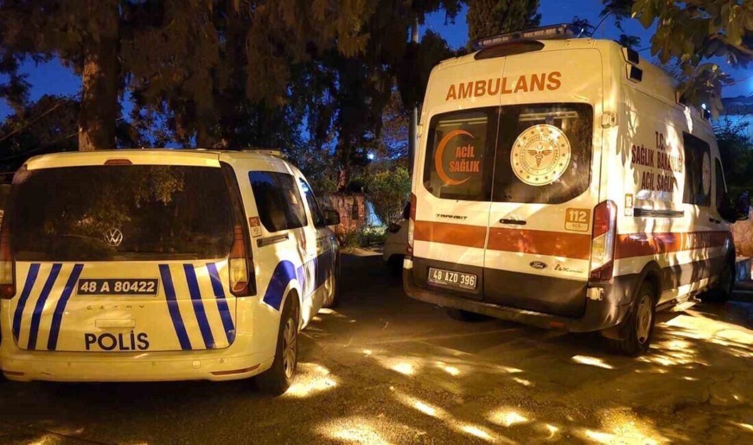 Muğla’nın Bodrum ilçesinde yaşayan ve geçmişte Barış Manço ile sahne