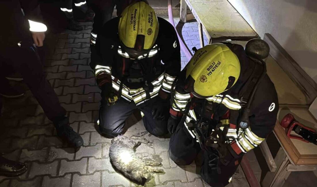 Bolu’da, Kültür Mahallesi’nde bulunan 4 katlı bir apartmanın birinci katındaki