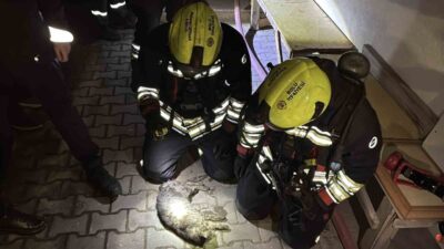 Bolu’da, Kültür Mahallesi’nde bulunan 4 katlı bir apartmanın birinci katındaki