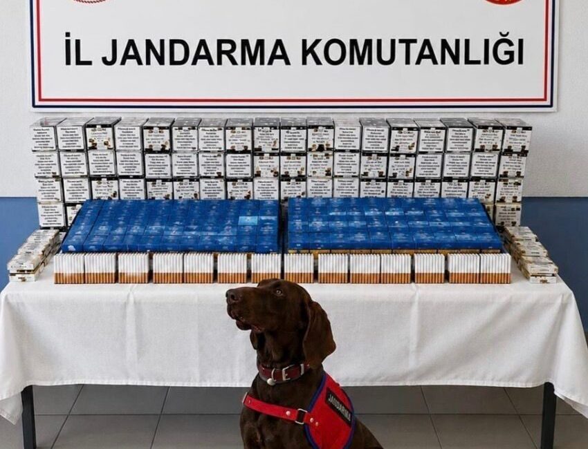 Bolu’da jandarma ekipleri, kaçakçılıkla mücadele kapsamında gerçekleştirdikleri yol kontrolü ve