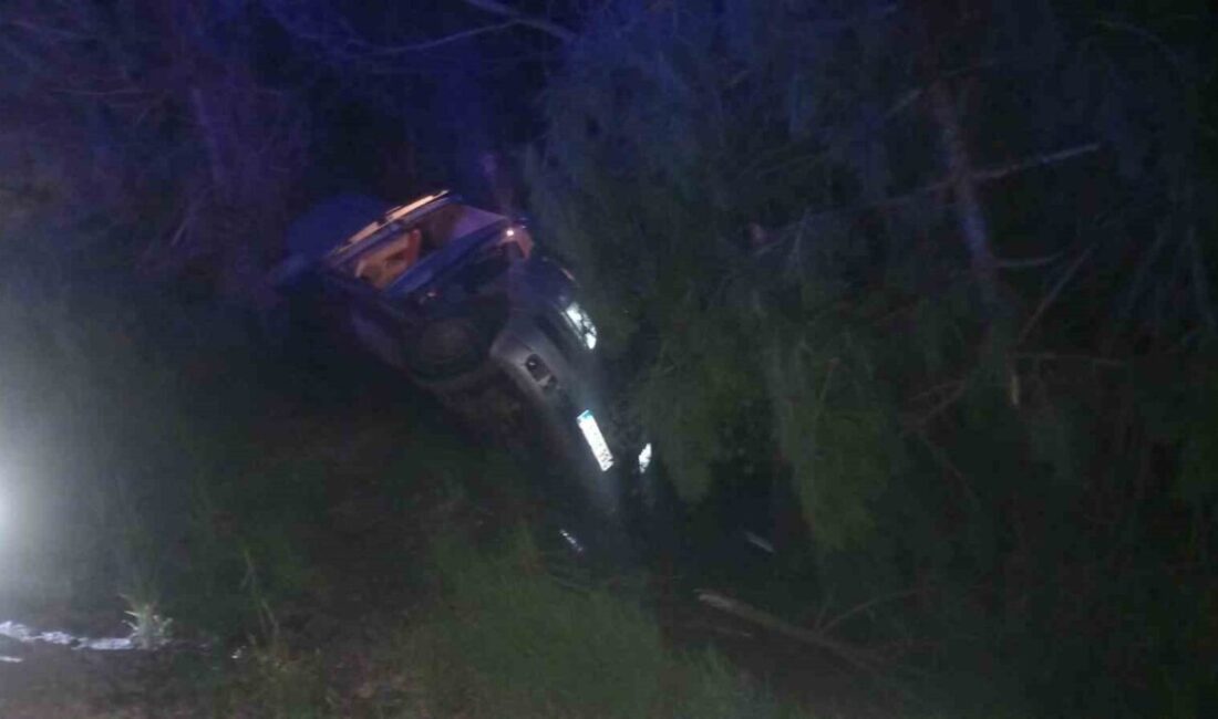Mudurnu ilçesinde gece geç saatlerde meydana gelen trafik kazasında, sürücüsü