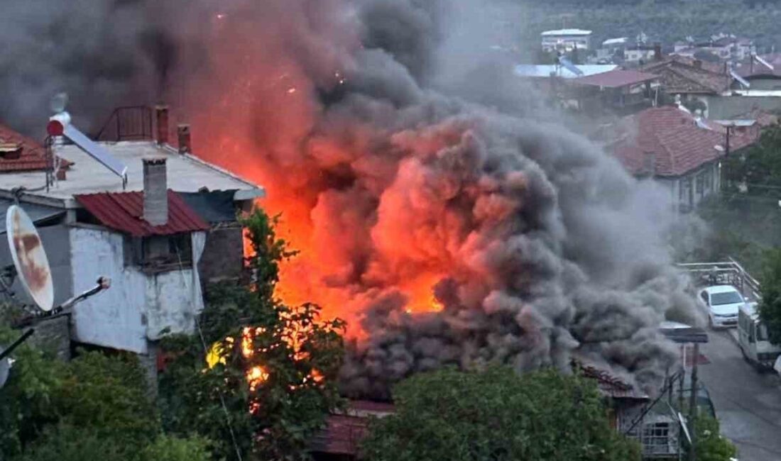 Bozdoğan ilçesindeki bir evde çıkan yangın, itfaiye ekiplerinin müdahalesi sonucunda