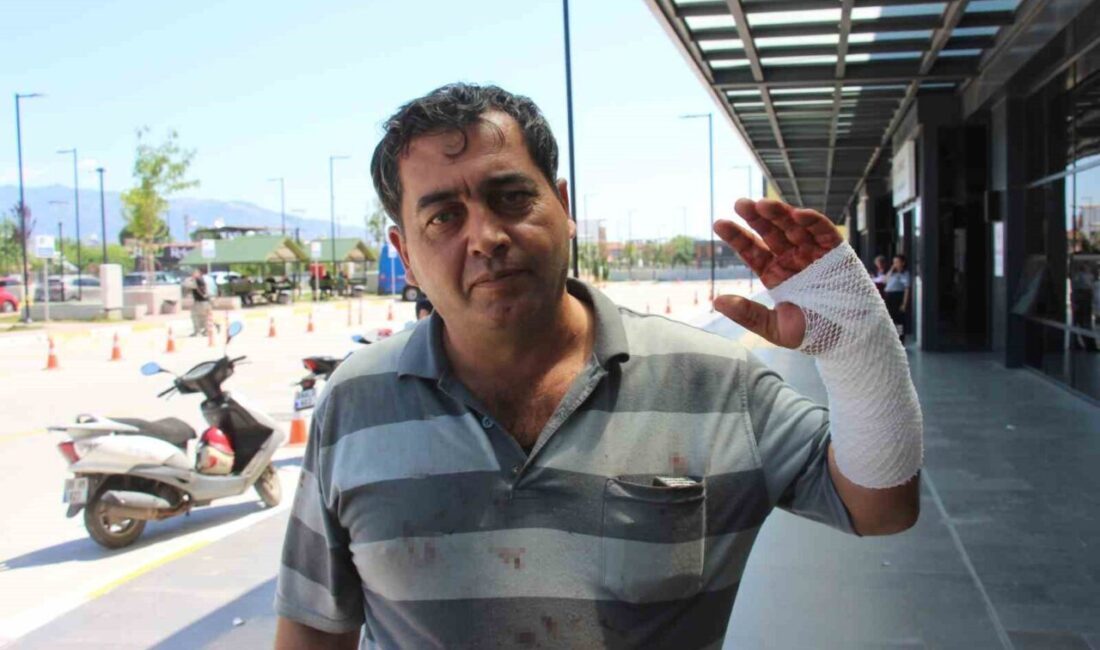 Aydın’da her yıl olduğu gibi bu yıl da Kurban Bayramı’nın