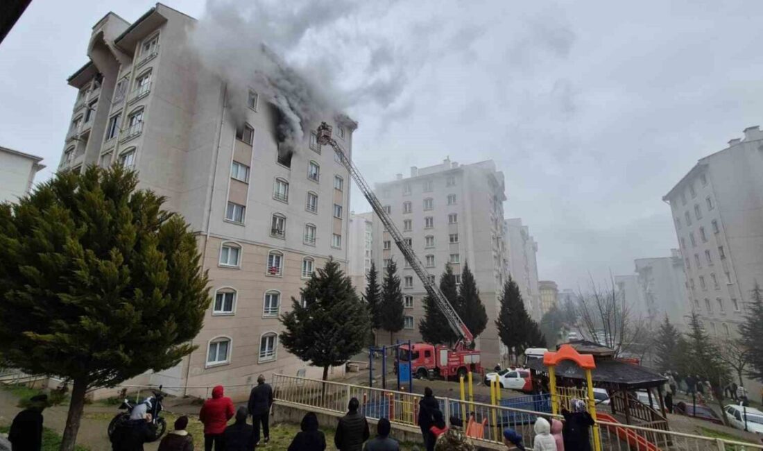 Bursa Büyükşehir Belediyesi İtfaiye Daire Başkanlığı ekipleri, Mart ayında toplamda